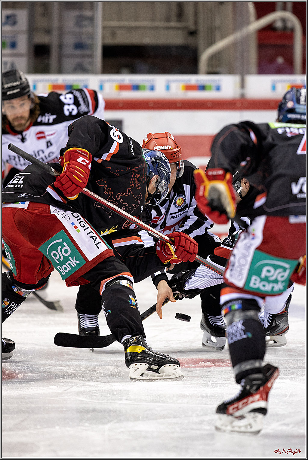 PENNY DEL; Duesseldorfer EG - Koelner Haie; Duesseldorf, 23.01.2022